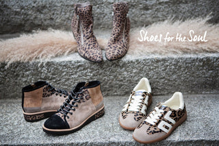 Fall & Winter