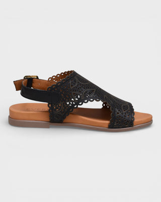 Everly Poppy 02