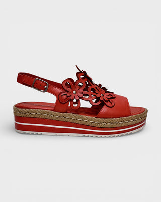 Django & Juliette Aldo