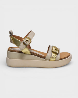 MJUS N16006