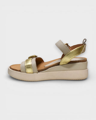 MJUS N16006