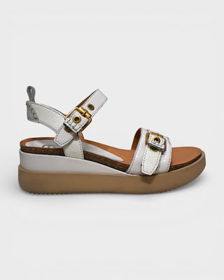 MJUS N16006