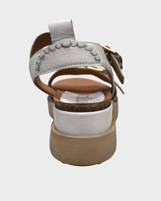 MJUS N16006