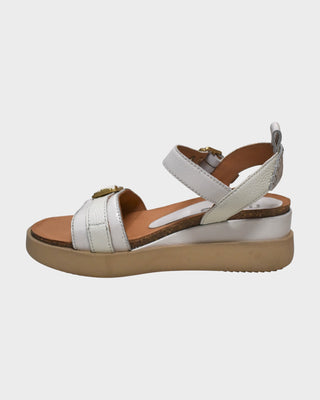MJUS N16006