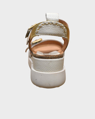MJUS N16006