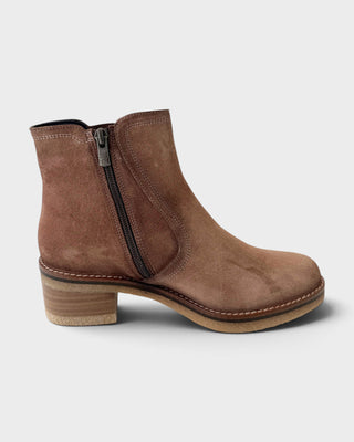 Dorking Lucero D9542