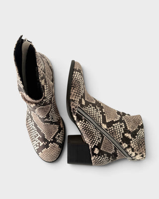 Django & Juliette Melech