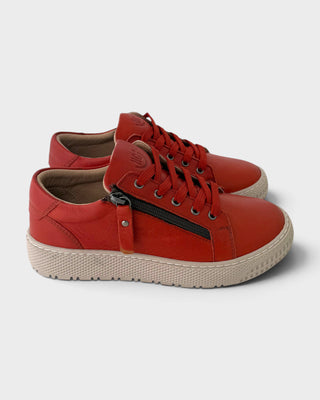 Hello Comfort 25491