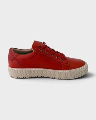 Hello Comfort 25491