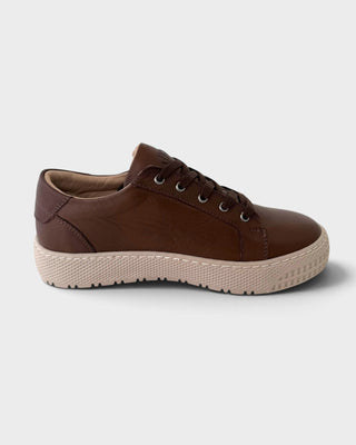 Hello Comfort 25491