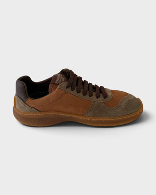 El Naturalista 5435 Oroel