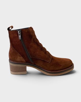 Dorking Lucero D8868