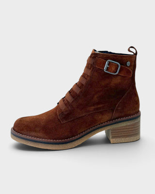 Dorking Lucero D8868