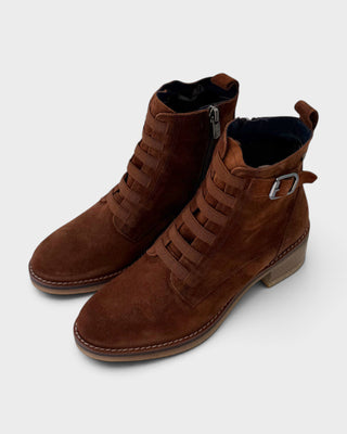 Dorking Lucero D8868