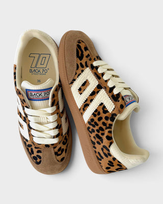 Back 70 Cloud