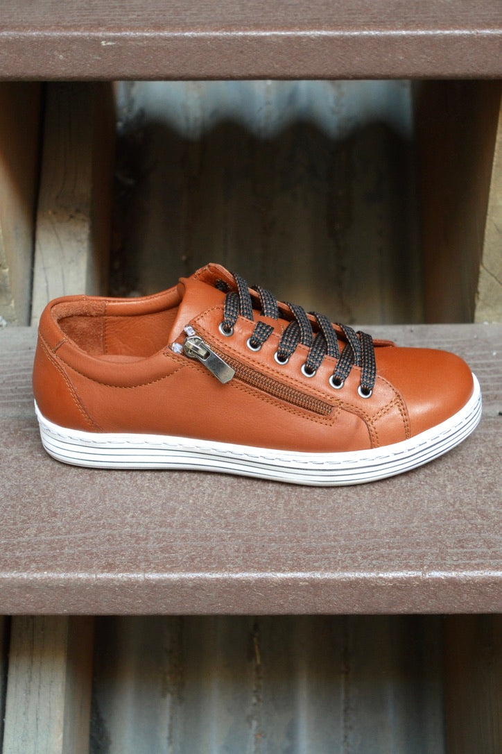 Dragonfly Unity Size 36 only