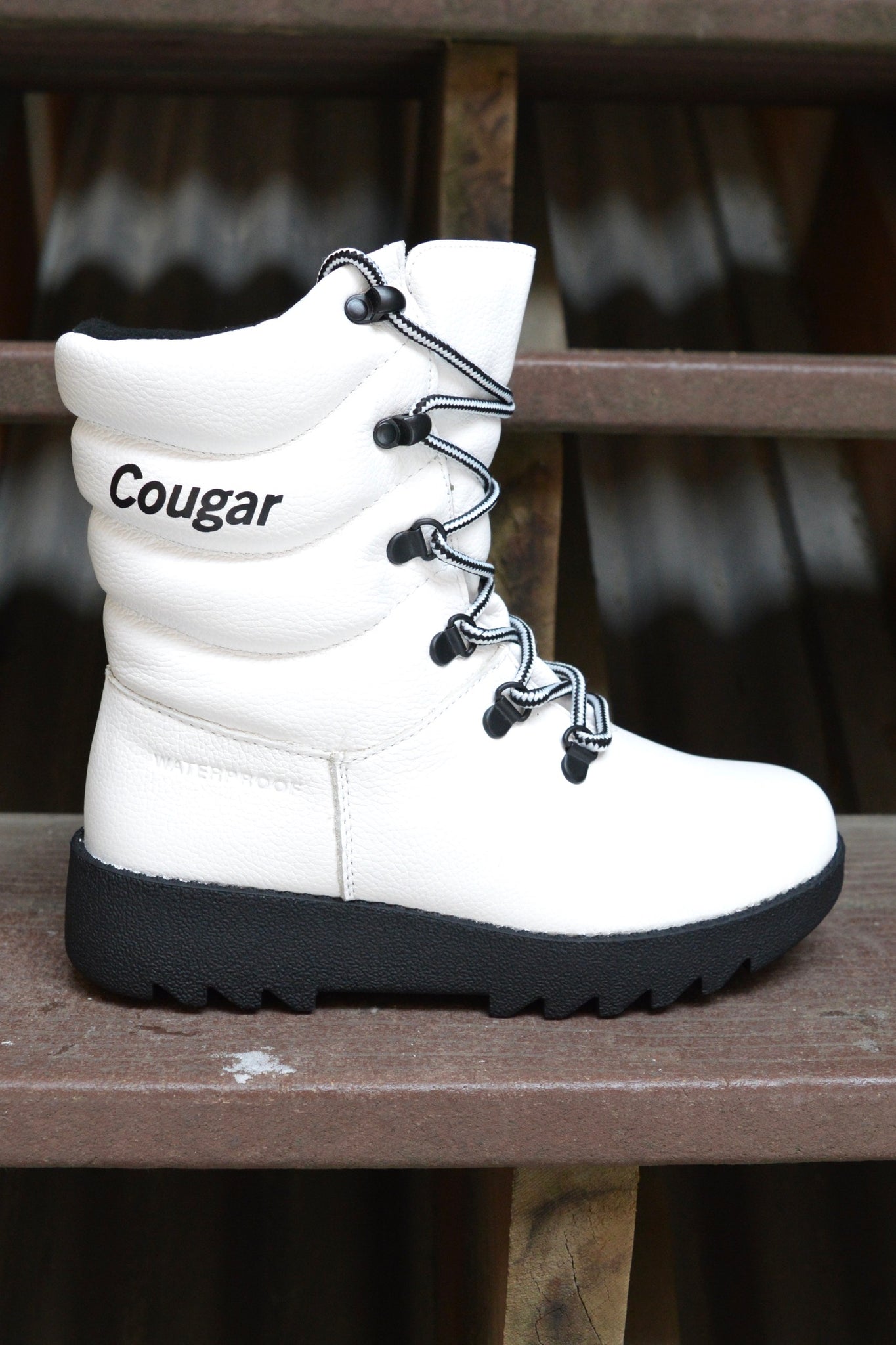 Cougar Original Size 6 only